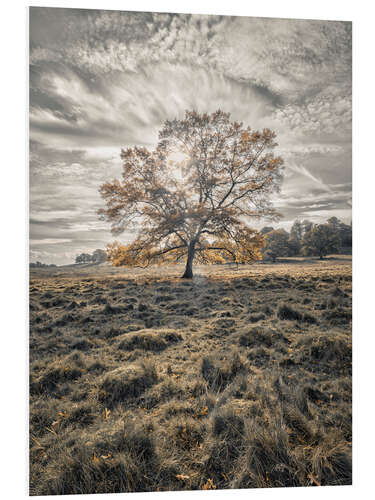 Hartschaumbild Herbstlicher Baum