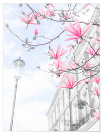 Wall sticker Magnolias