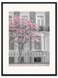 Gerahmter Kunstdruck Magnolienbaum, London
