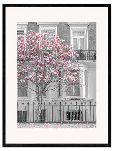 Framed art print Magnolia tree, London