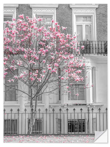 Wall sticker Magnolia tree, London