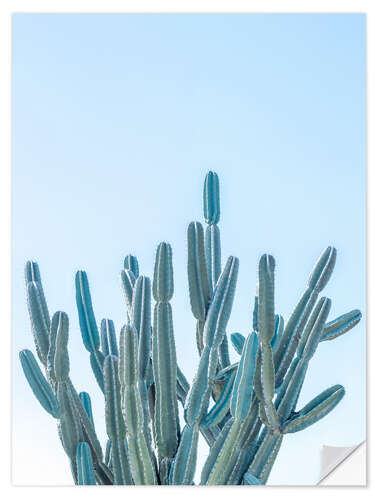 Selvklebende plakat Blue Cacti