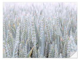 Wall sticker Wheat field I