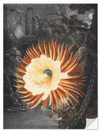 Muursticker The night blooming Cereus