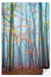 Vinilo para la pared Bosque en las montañas de Harz en la niebla