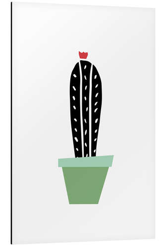 Aluminium print Cactus in a green pot