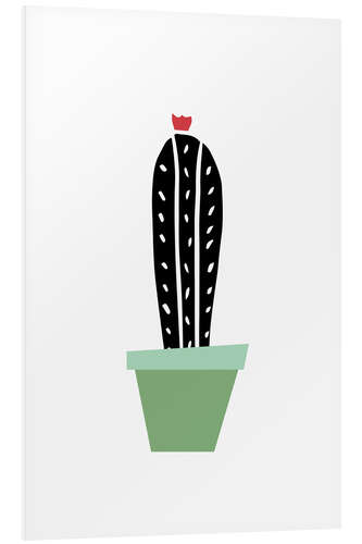 Stampa su PVC Cactus in a green pot