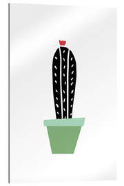 Gallery print Cactus in a green pot