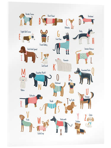 Acrylic print Dogs with clothes alphabet