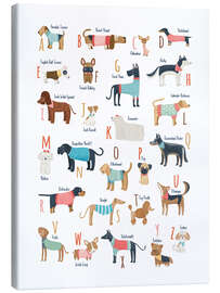 Quadro em tela  Dogs with clothes alphabet - Marta Munte
