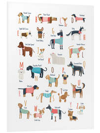 Foam board print Dogs with clothes alphabet