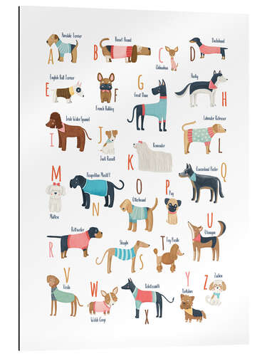 Galleriprint Dogs with clothes alphabet