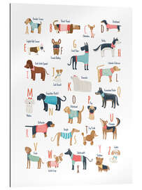 Stampa su plexi-alluminio Dogs with clothes alphabet