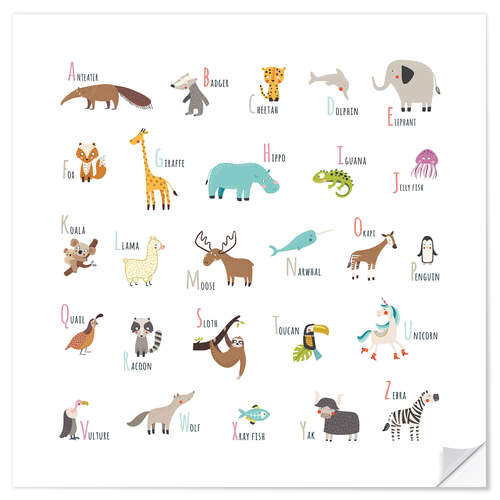 Sticker mural Square Animal Alphabet (english)