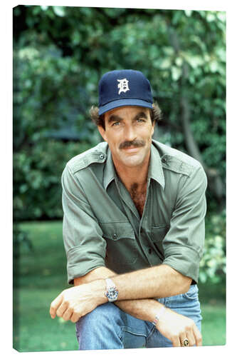 Lienzo Tom Selleck
