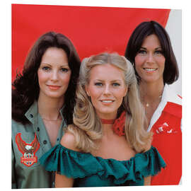 Foam board print Charlie's Angels III