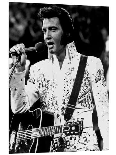 PVC-taulu Elvis Presley With on Stage