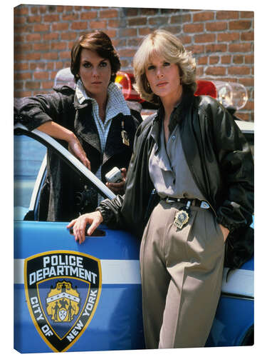 Canvastavla Cagney & Lacey, Police Department I