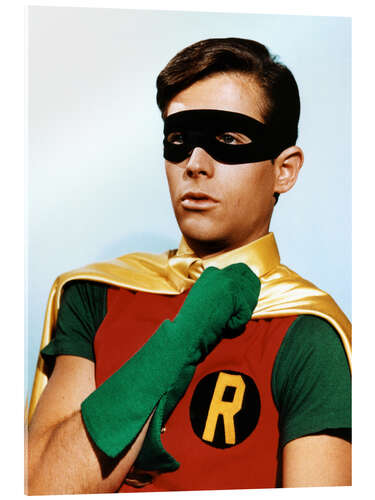 Acrylglas print Robin