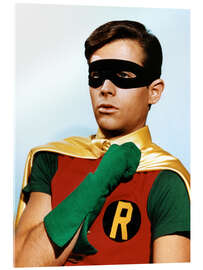 Acrylglas print Robin