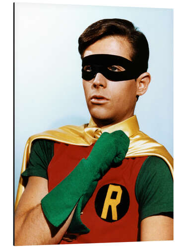 Tableau en aluminium Robin