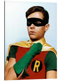 Aluminiumsbilde Robin