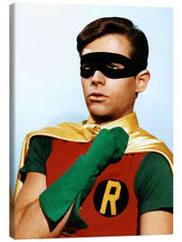 Canvas print Robin