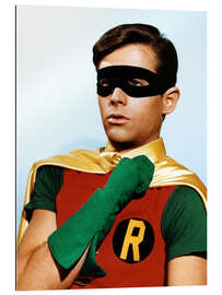 Gallery print Robin