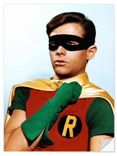 Wall sticker Robin