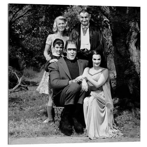 Cuadro de plexi-alu The Munsters