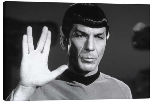 Canvas print Mr. Spock - Star Trek