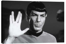 Tableau sur toile  Mr. Spock - Star Trek