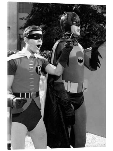 Obraz na szkle akrylowym Batman and Robin