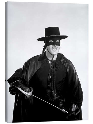 Leinwandbild Zorro