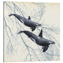 Aluminium print Orcas in the underwater forest