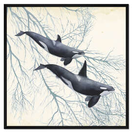 Gerahmter Kunstdruck Orcas im Unterwasserwald