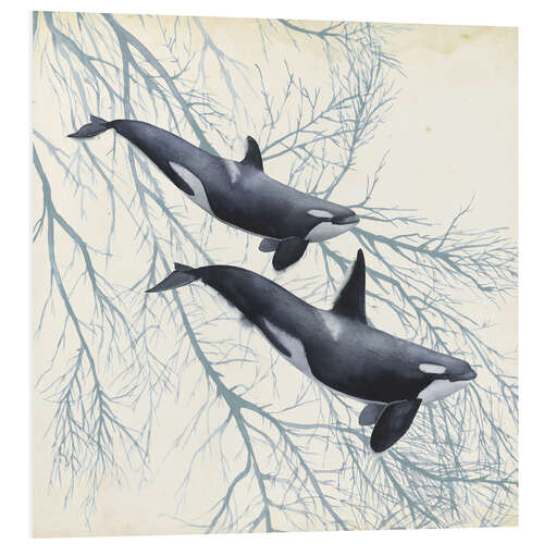 Foam board print Orcas in the underwater forest