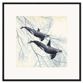 Plakat artystyczny premium w ramie Orcas in the underwater forest