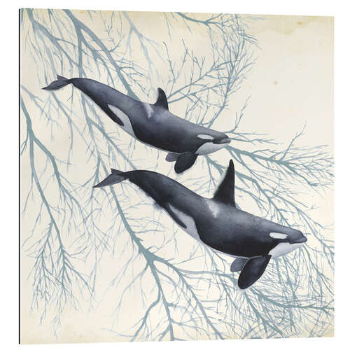 Galleriprint Orcas in the underwater forest