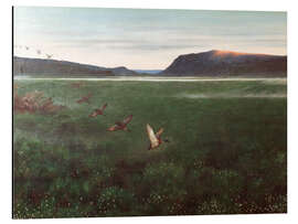 Magnettafel Die zwölf Wildenten