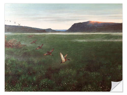 Sisustustarra The twelve wild ducks