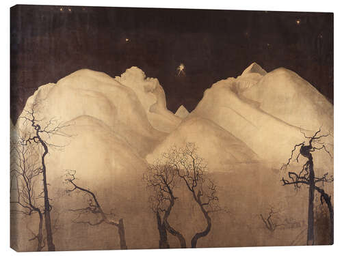 Canvas print Winter Night in the Mountains, Study