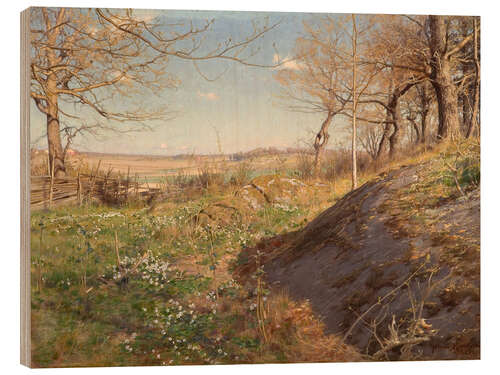Hout print Sunny forest path