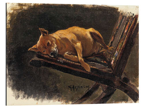 Aluminium print Dog lying