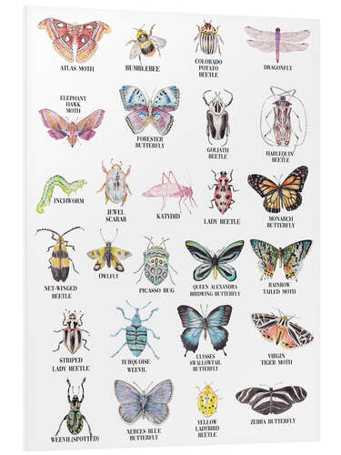 Foam board print Insect Alphabet