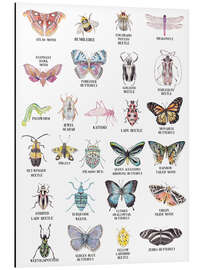 Magnettafel Insekten ABC (englisch)