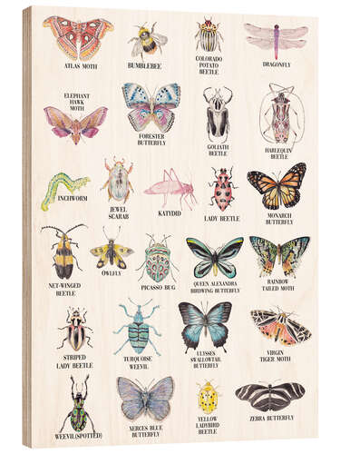 Wood print Insect Alphabet