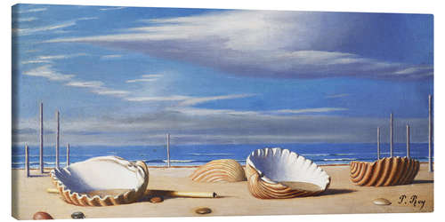 Obraz na płótnie Seashells in a landscape