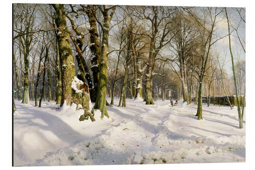 Tableau en aluminium Forêt d'hiver enneigée au soleil