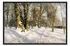 Gerahmter Kunstdruck Verschneiter Winterwald im Sonnenlicht